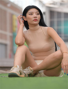 《变形金刚2卷土重来中文版》