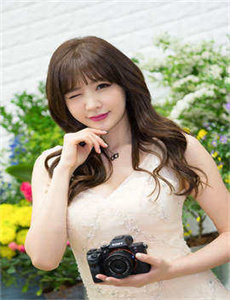 YELLOW小说免费,人间大炮2