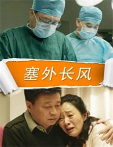 巅峰王者修炼手册