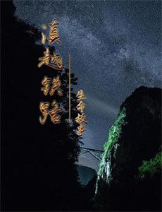 大冰小将剧情升级版