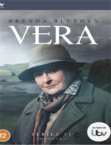 彪悍媳妇的八零年代