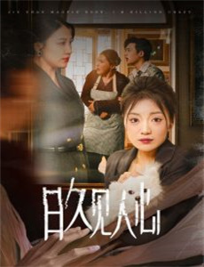 四大名捕斗将军