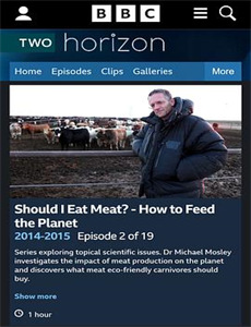 高卢英雄之阿斯特里克斯历险记