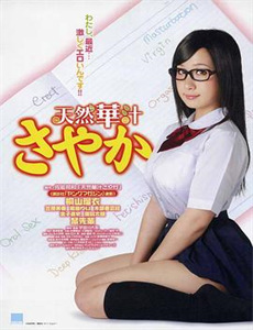 我来到了小人国